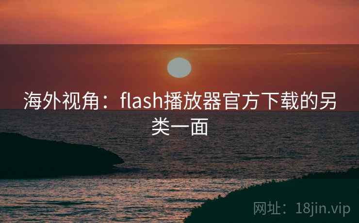 海外视角:flash播放器官方下载的另类一面 第1张 海外视角:flash播放器官方下载的另类一面 第1张