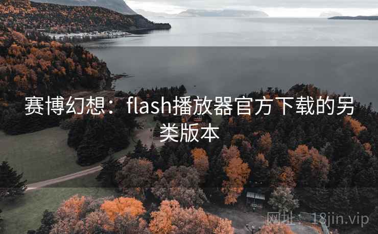 赛博幻想：flash播放器官方下载的另类版本  第2张
